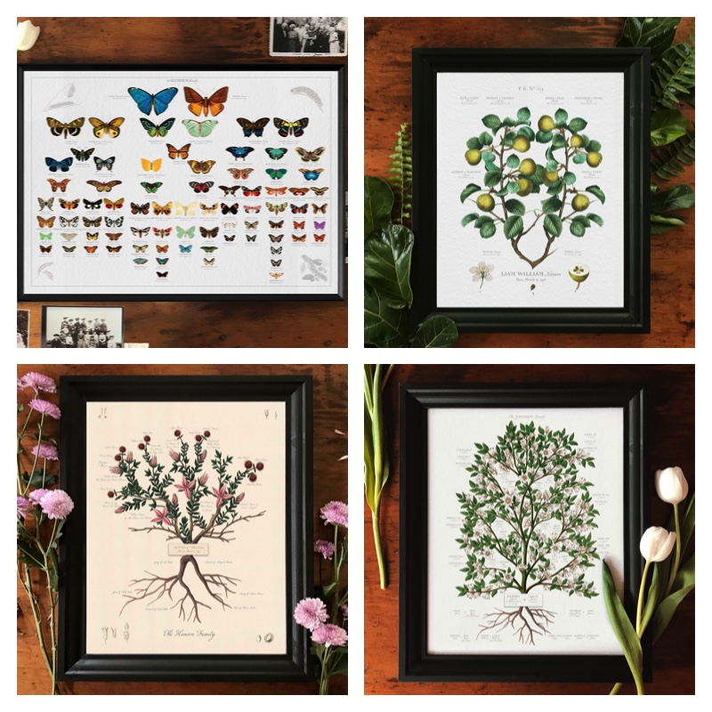 Family Botanic